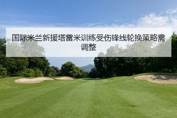 guo-ji-mi-lan-xin-yuan-ta-lei-mi-xun-lian-shou-shang-feng-xian-lun-huan-ce-lve-xu-tiao-zheng-2-576.jpg